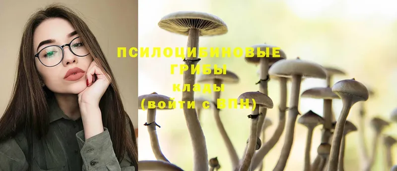 Галлюциногенные грибы Magic Shrooms  сколько стоит  Болхов 